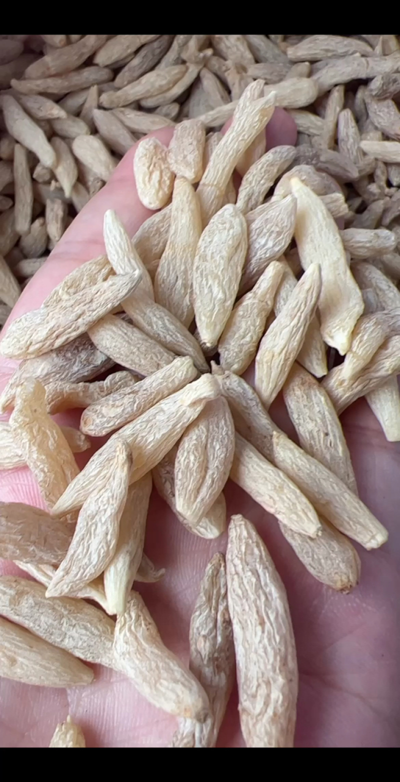 麦冬地摊电商批发麦冬大粒麦门冬手选中药材干货