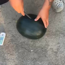 《热卖》吉林黑皮甜王西瓜大量上市包熟包甜对接全国量大从优