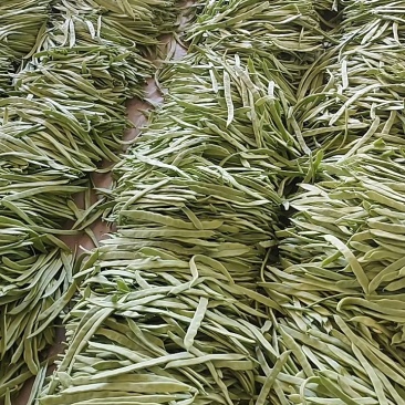 山西晋北蔬菜基地！豆角