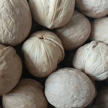 今年新货新疆纸皮核桃厂家大量现货电商拼多多代发薄皮核桃