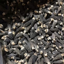 云南羊肚菌新货头茬规格齐全产地一手货源煲汤滋补