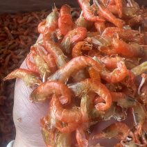 红虾干地摊电商批发红虾干爪虾干虾干干虾