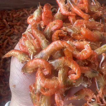 红虾干地摊电商批发红虾干爪虾干虾干干虾