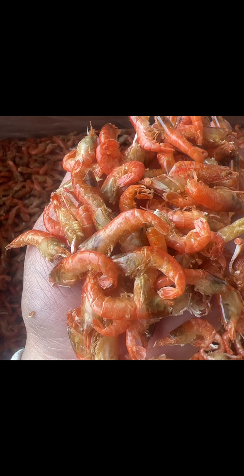 红虾干地摊电商批发红虾干爪虾干虾干干虾