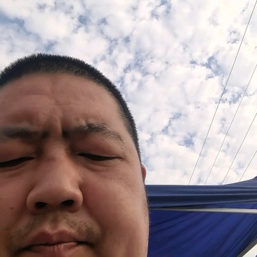 密刺黄瓜，当天现摘现发！密刺黄瓜，黄瓜中的战斗机