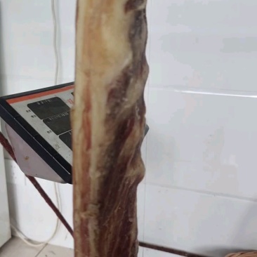 咸猪头大量供应品质保证支持视频看货欢迎下单品尝