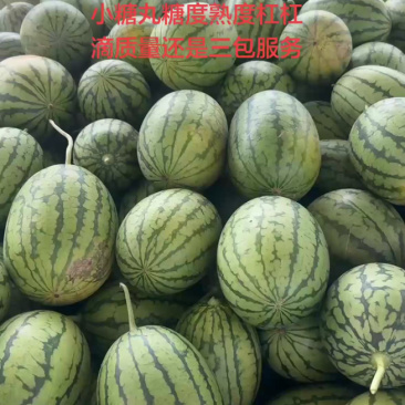 小糖丸手拨吊瓜产地直发质量三包服务全国发货