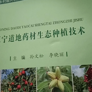 芍药苗，精品、现货、基地1年2年苗有货欢迎进店咨