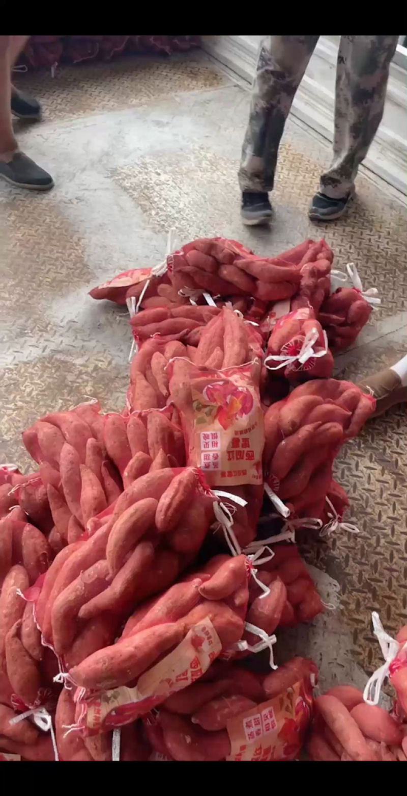 西瓜红通货，精品大量现货出售中，支持各种包装，诚信第一！
