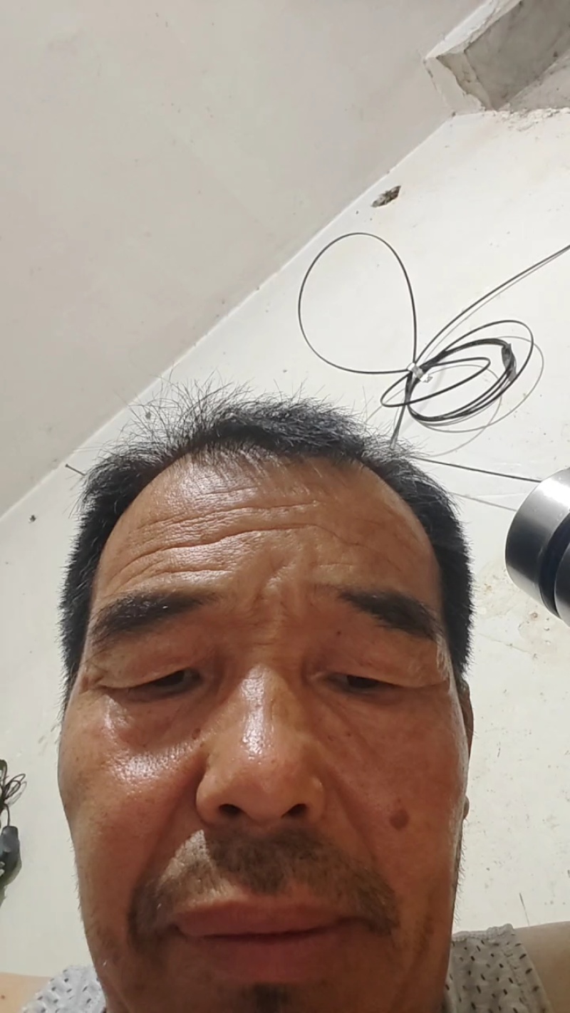 【全国发货】生杂骨牛骨头质量保证品种纯正假一赔十