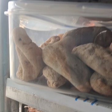 野生手选天麻大个色好无流批发天麻片批发补品营养送礼吃！！