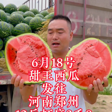 安徽甜王基地现摘现发超市市场直贡诚信经营正在热销中诚信第