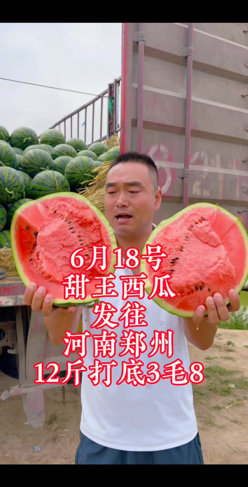 安徽甜王基地现摘现发超市市场直贡诚信经营正在热销中诚信第