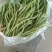 甘肃陇南豆王架豆王豆角产地直供量大从优全国发货