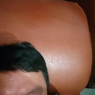 优质纯杉木炭
