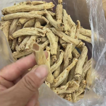 优质太极参，25大力参打包发货