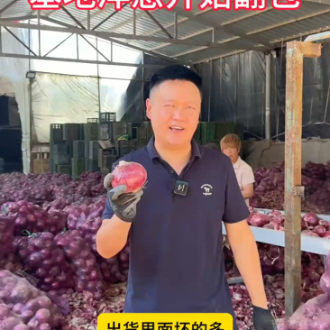 翻包洋葱，专业处理，大红二红大量有货！