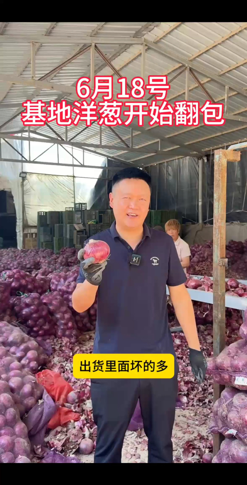 翻包洋葱，专业处理，大红二红大量有货！