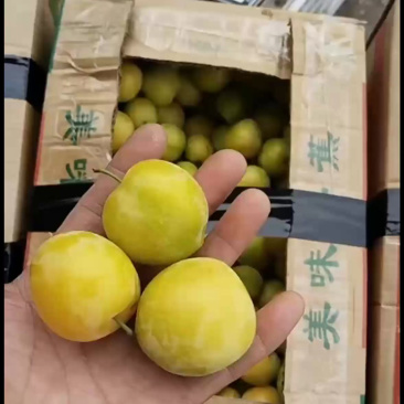 水晶黄里，一块钱收货，甜度高！