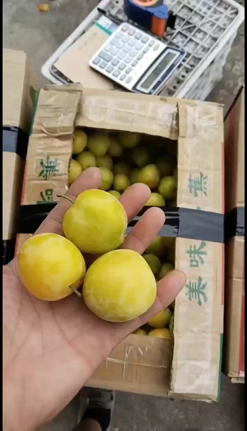 水晶黄里，一块钱收货，甜度高！
