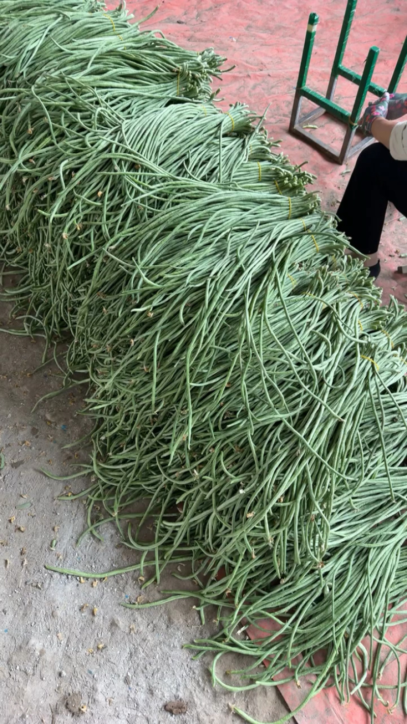 电商豆角青白产地直供量大从优可供商超可视频看诚信第一