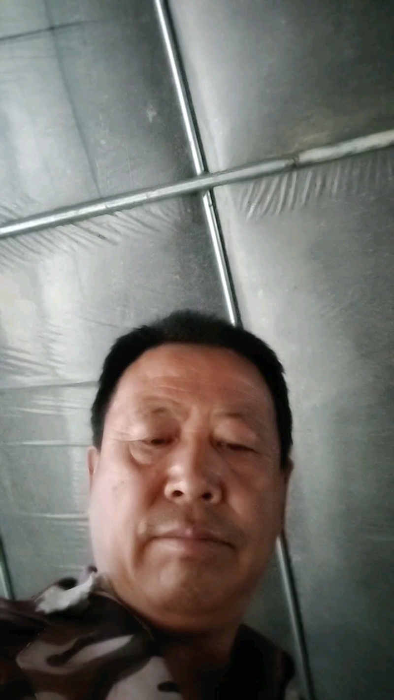 杏鲍菇小片