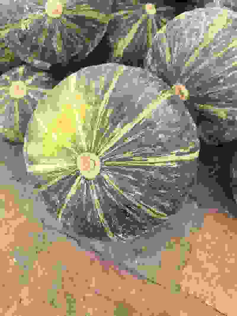 板栗南瓜，花皮帝王栗，软糥可口，产地直供自产自销，