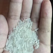 精品长粒香大米，口感好吃，包装精美，量大从优，免费寄样