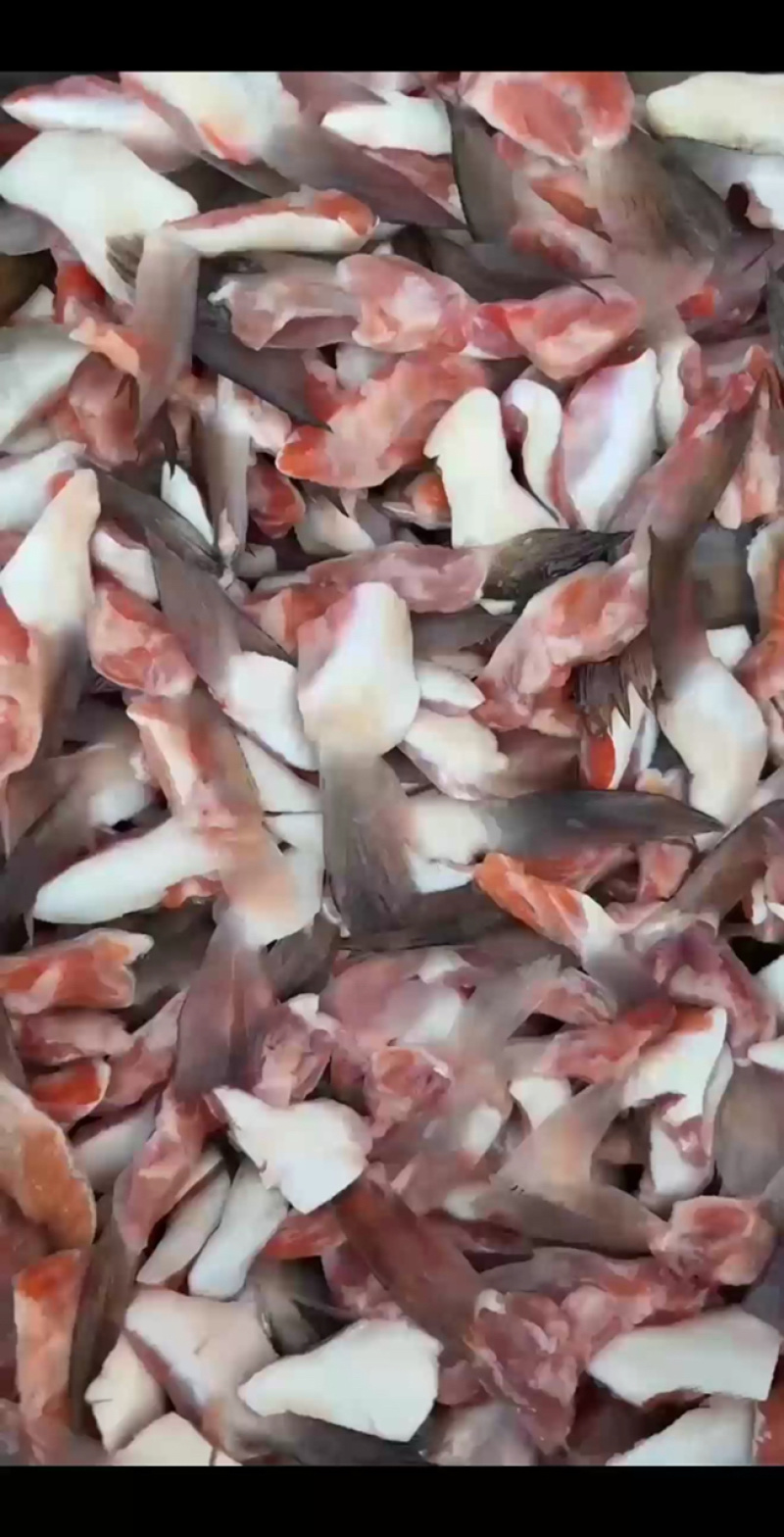 三文鱼鳍，三文鱼划水新鲜冷冻，烧烤，油炸，大量供应
