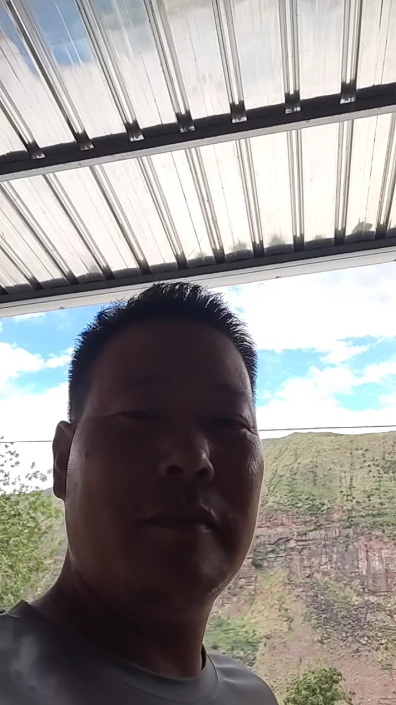 会理石榴突尼斯软籽石榴代收代办代发代采以诚信为主。
