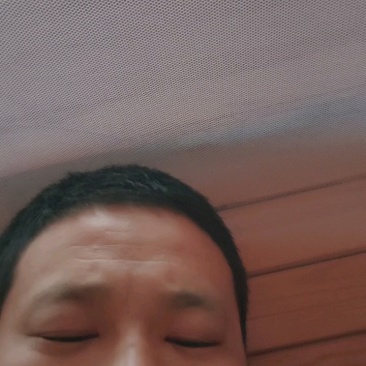 精品圆茄产地直发山东聊城
