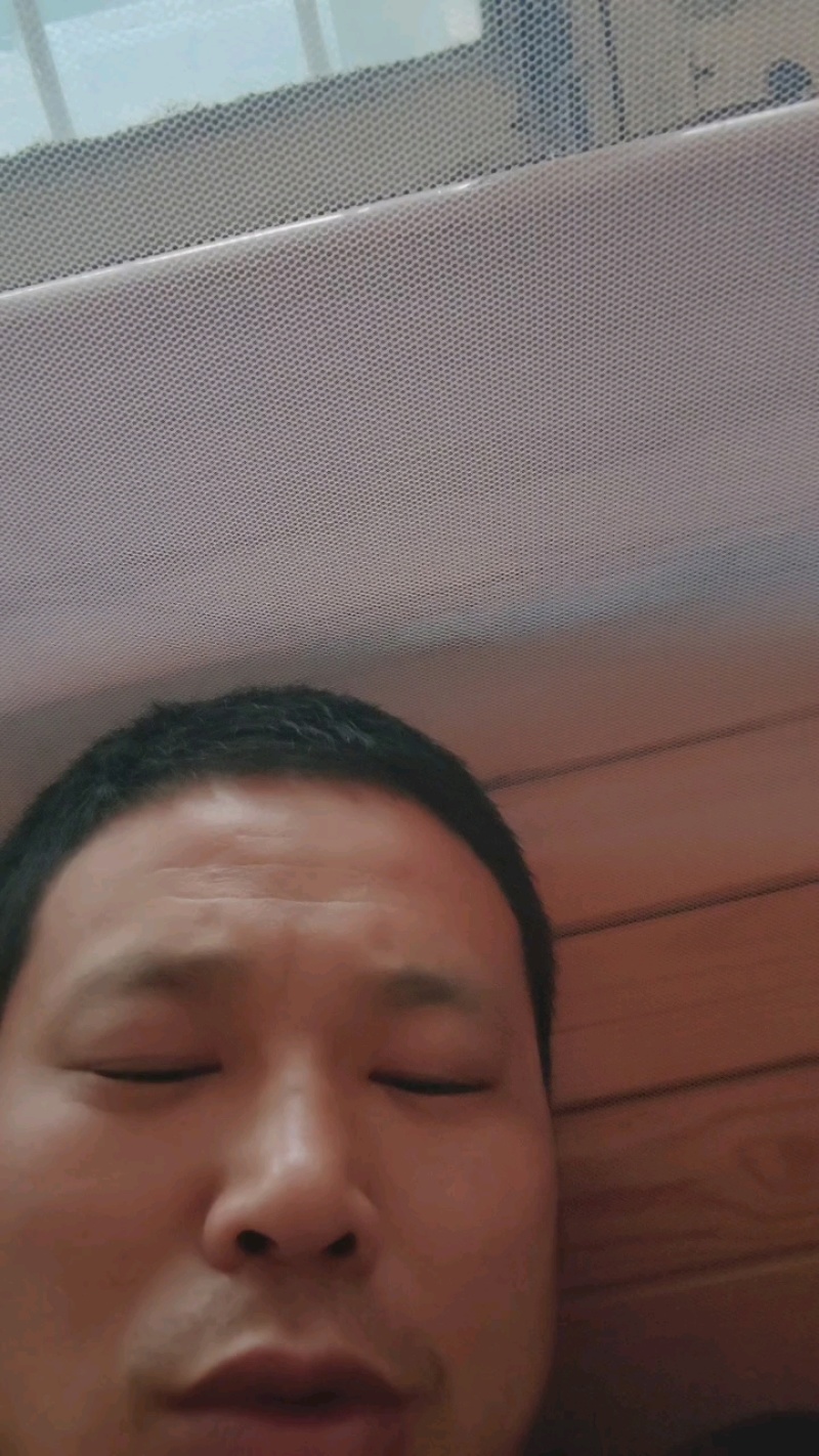 精品圆茄产地直发山东聊城