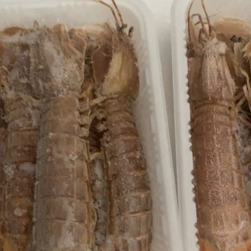 连云港熟冻皮皮虾肉质饱满，欢迎团购微商订制