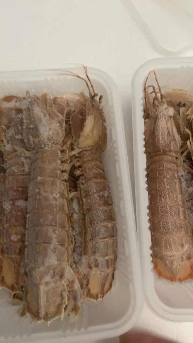连云港熟冻皮皮虾肉质饱满，欢迎团购微商订制