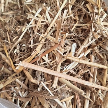 河南正阳优质小麦秸秆，牛羊马驴草料，揉丝压块，八个锣草粉
