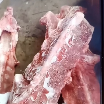 （河北供货）羊蝎子，价格便宜，满肉。饭店，电商。专用。
