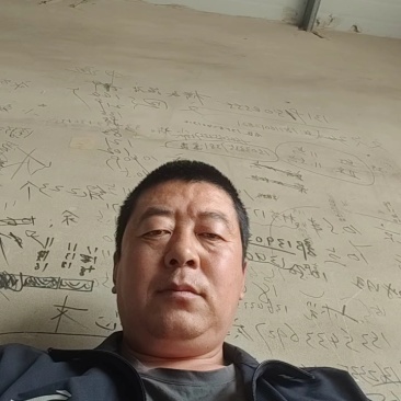 昌黎县精品有机花菜大量上市供应各大商超市场平台欢迎来选购