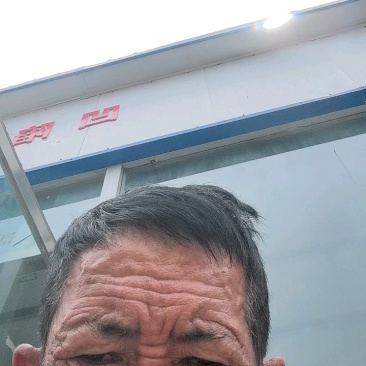 甘肃精品紫皮洋葱产地直发一手货源价格优惠欢迎致电