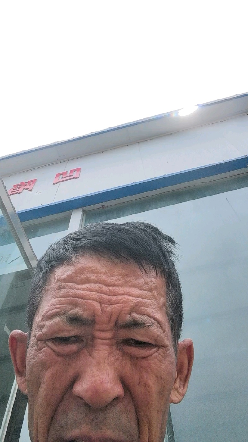 甘肃精品紫皮洋葱产地直发一手货源价格优惠欢迎致电