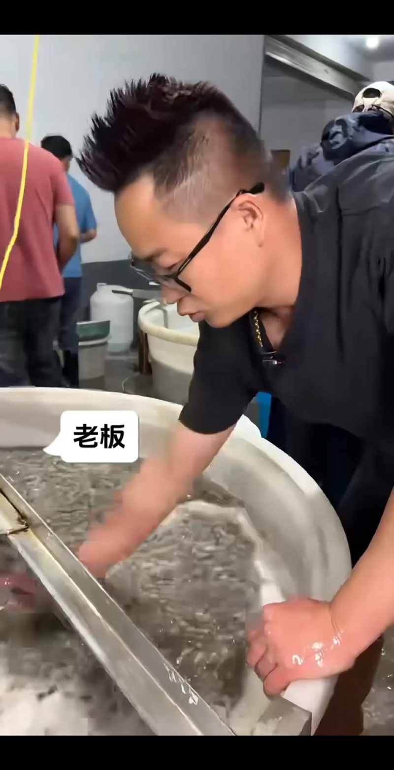 正宗本地泥螺大丰收，批发零售全国发货！
