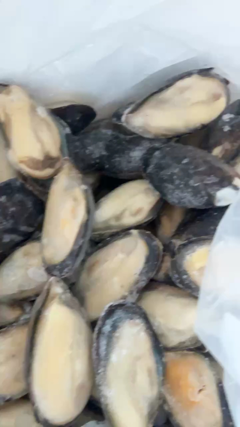 青口贝半壳青口贝半壳海虹捞汁烧烤火锅食材