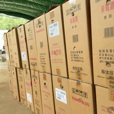 万亩辣椒大棚货质量保证价格优惠一手货源