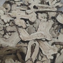 白术片