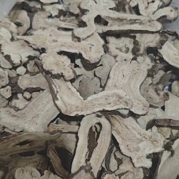 白术片