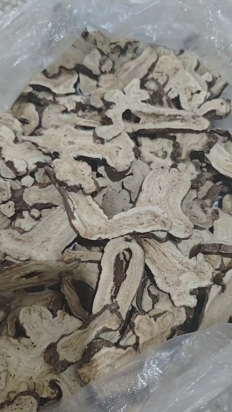白术片