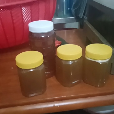 农家土蜂蜜自产自销蜂蜜浓浓花香冲泡皆宜欢迎致电