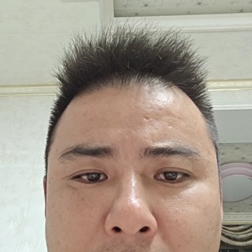半边红李子大量供应电商果,越南果,市场果,产地一手货源