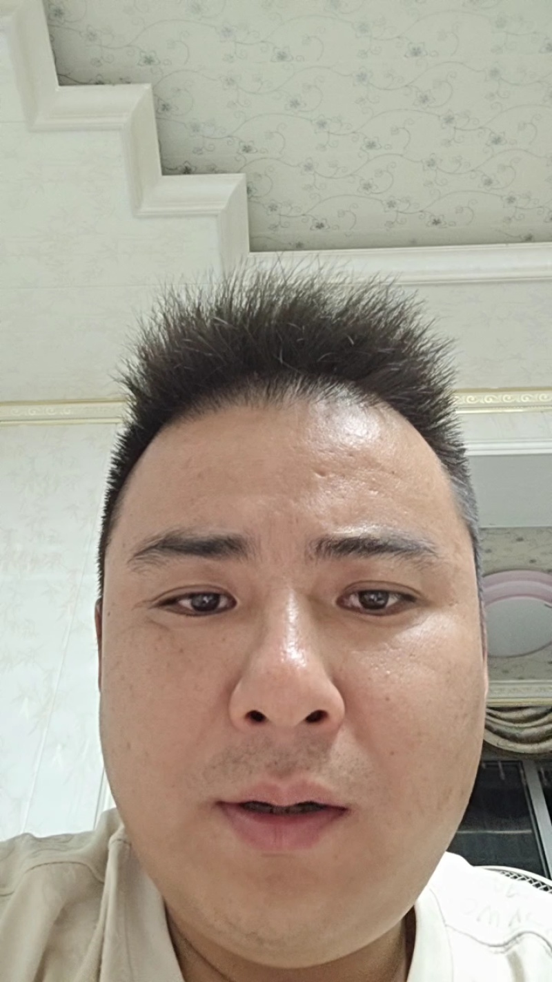 半边红李子大量供应电商果，越南果，市场果，产地一手货源