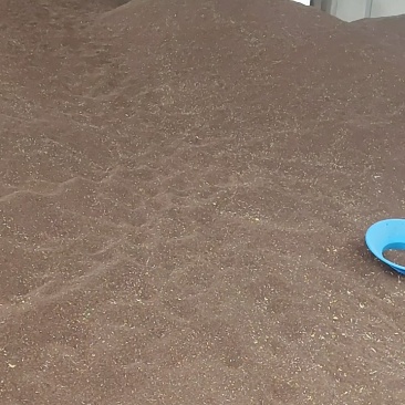安徽省宣城市广德油菜籽