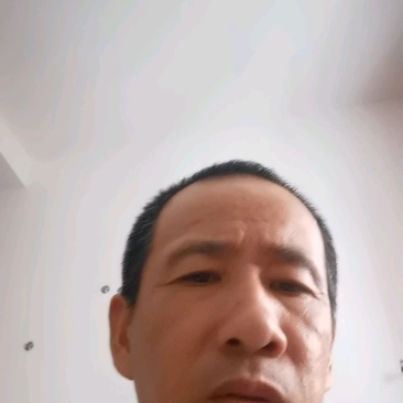 百花蜂蜜秋季树林木开花期蜂蜜（实名认证）